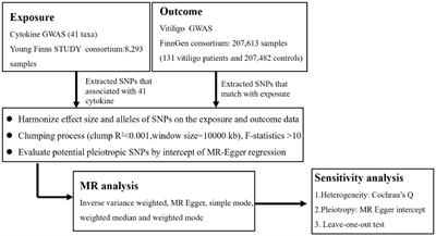 A Mendelian randomization study on the causal effects of circulating cytokines on the risk of vitiligo